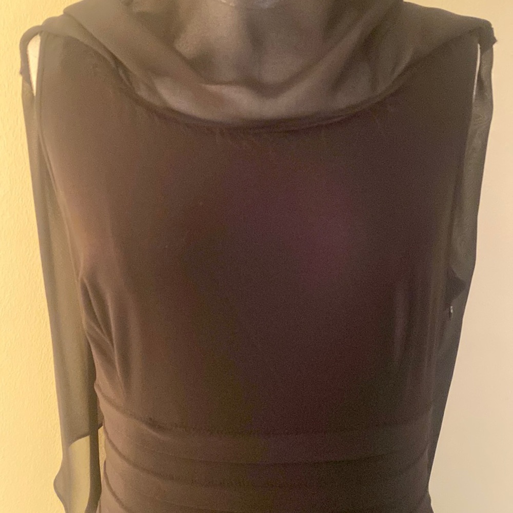 Adrianna Papell Sheer Overlay Dress - Picture 4 of 10